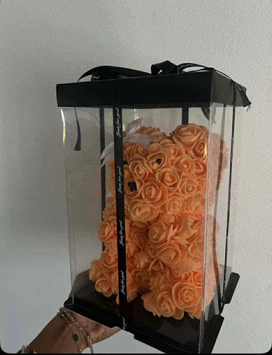 🧡 Ours Éternel Orange