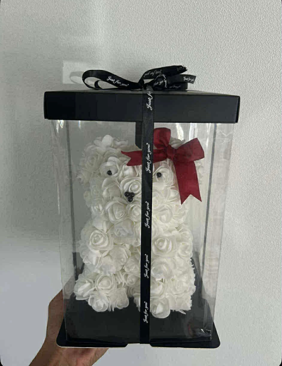 🤍 Ours Éternel Blanc